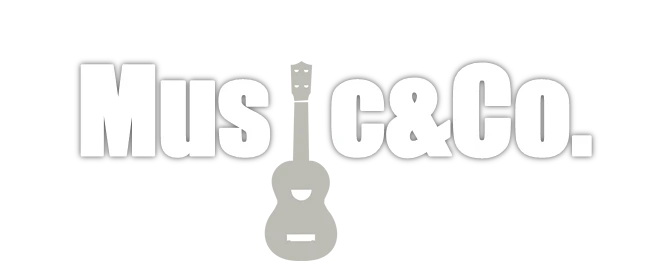 Gitarrenunterricht Zuerich |  lernen E-Gitarre zu spielen